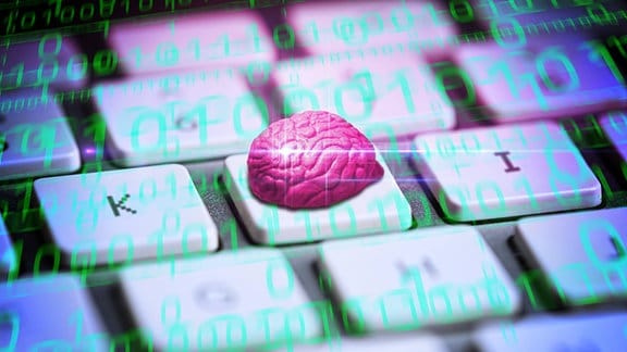 Bildmontage: Ein Gehirn liegt auf einer Computertastatur, Symbolfoto künstliche Intelligenz
