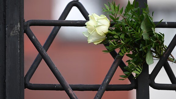 Eine Rose steckt zwischen stilisierten Davidsternen im Portal des Synagogendenkmals. 