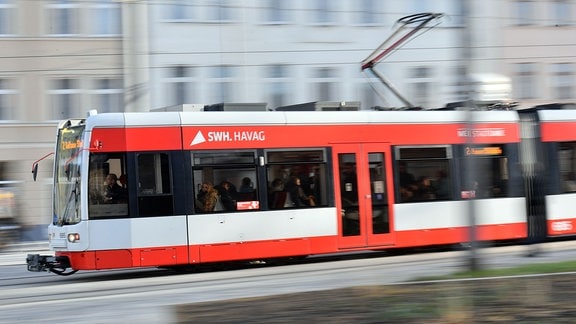 Straßenbahnen verkehren am Steintorplatz in Halle/Saale (Sachsen-Anhalt).