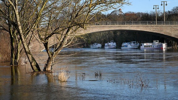 Hochwasser der Saale an der Kröllwitzer Brücke.