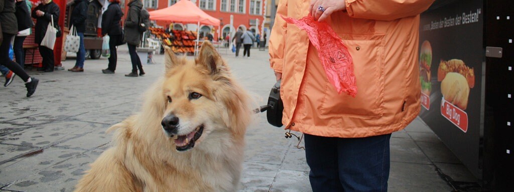 Arger Uber Hundehaufen In Leipzig Mdr De