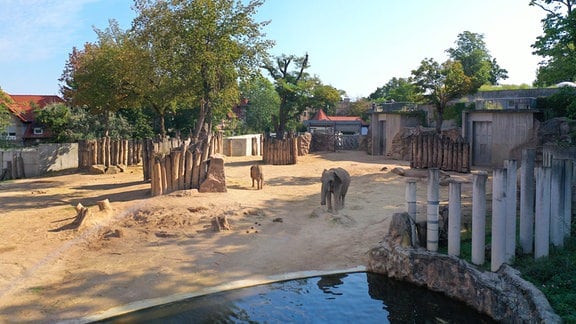 Bergzoo Zoo Halle Elefantenanlag