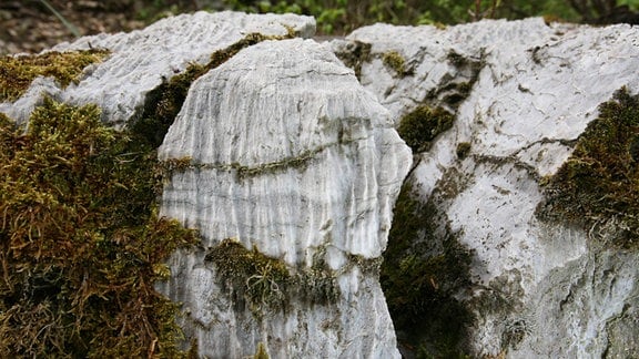 Der Gipskarst im Südharz