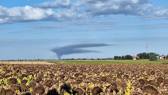 Rauchwolke über einem Feld