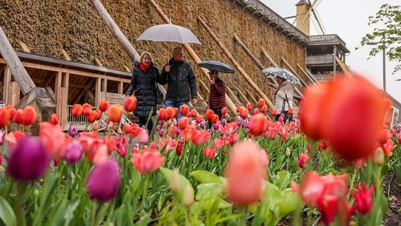 Zwei Damen in historischen Gewändern wandeln mit Schirmen über die Landesgartenschau Bad Dürrenberg 2024.
