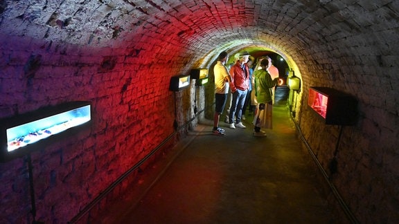 Besucher im Kohlebahntunnel auf der Landesgartenschau Sachsen-Anhalt in Bad Dürrenberg