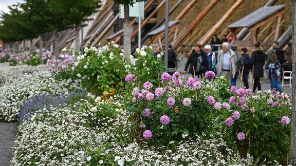 Besucher schauen sich Blumenbeete auf dem Gelände der Landesgartenschau in Bad Dürrenberg an