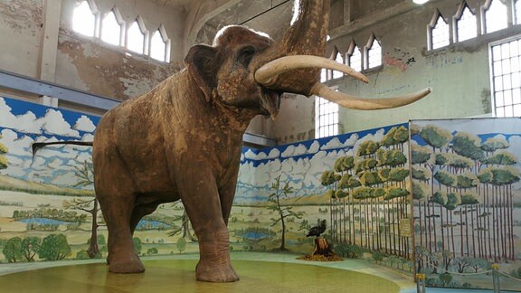 Ein lebensecht rekonstruierter Wald-Elefant