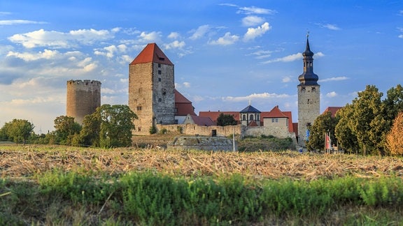 Burg Querfurt, davor ein Acker, im Hintergrund blauer Himmel