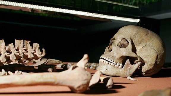 Schädel und Knochen der Schamanin von Bad Dürrenberg