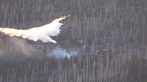 Ein Stück Wald, in dem es brennt. Ein Löschflugzeug wirft Wasser ab. 