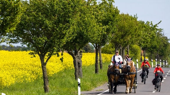 Menschen machen mit Pferdekutsche und Fahrrädern am Himmelfahrtstag einen Ausflug. 