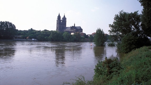 Der Magdeburger Dom mit Hochwasser der Elbe im Vordergrund.