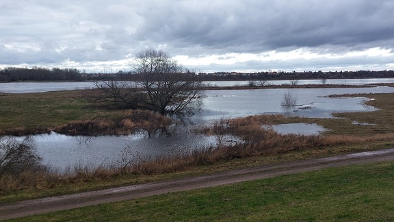 Bei Kehnert läuft das Hochwasser bis an die Wege heran.