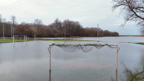 Der Sportplatz von Walternienburg steht unter Wasser.