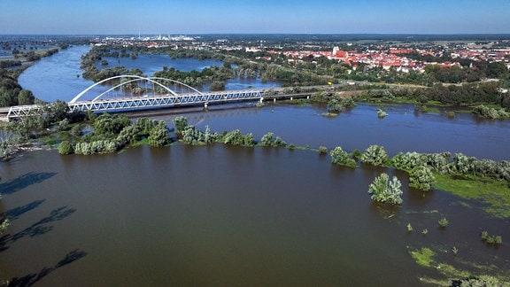 Die Elbe bei Wittenberg ist weit über ihre Ufer getreten und hat die Elbwiesen weiträumig überflutet (Drohnenfoto). 