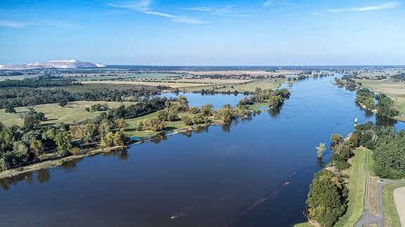 Die Hochwasserlage der Elbe, hier die Hochwasser führende Elbe in Sachsen-Anhalt. Oben Links am Horizont der Kalimandscharo, die Abraumhalde des Kalibergwerkes in Zielitz.