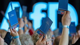 Delegierte stimmen auf einem AfD-Parteitag ab | Bildrechte: picture alliance/dpa | Hendrik Schmidt Delegierte stimmen auf einem AfD-Parteitag ab