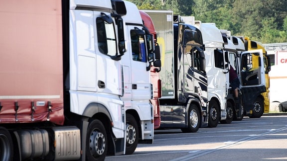 Lastwagen stehen auf einem Autobahnparkplatz in einer Reihe.