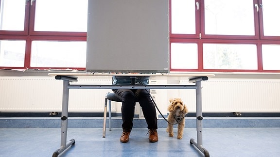 Eine Frau sitzt zur Stimmabgabe in einem Wahllokal in einer Grundschule neben einem Hund in einer Wahlkabine.