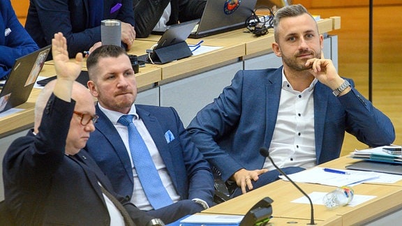 Oliver Kirchner (l-r, AfD), Matthias Büttner (AfD) und Ulrich Siegmund (AfD) sitzen im Landtag von Sachsen-Anhalt an ihren Abgeordnetenplätzen