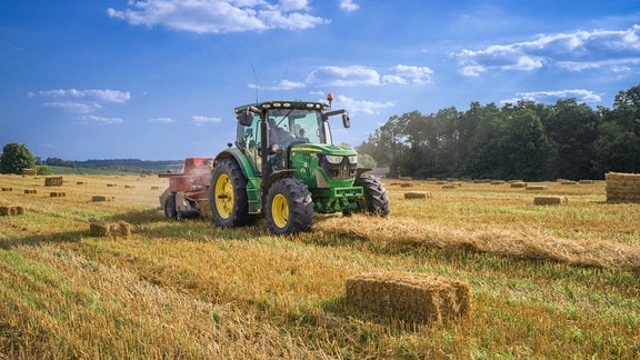 Ein grüner Traktor mäht Getreide auf einem Feld.