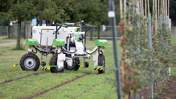 Ein Feldroboter fährt anlässlich eines «Feldtags» für Robotiklösungen für den Obst- und Weinbau auf dem Gelände des Sächsischen Landesamts für Umwelt, Landwirtschaft und Geologie.