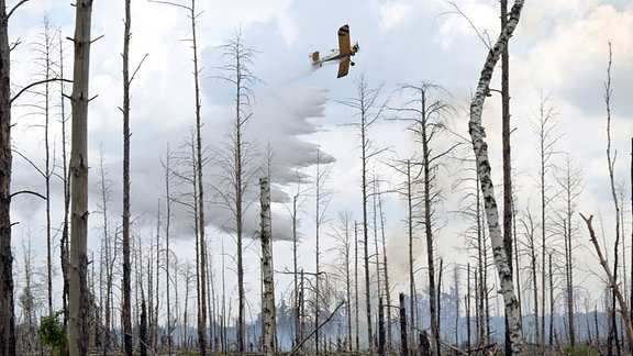 Ein Löschflugzeug wirft 2023 Wasser über einem Brand bei bei Jüterbog ab.