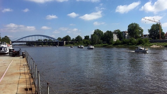 Mehrere Skipperboote schwimmen hintereinander auf der Elbe in Magdeburg