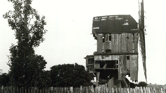 Schwarzweiß-Foto der zerfallenden Bockwindmühle Etingen aus dem Jahr 1984.