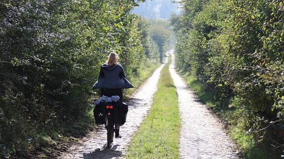 Eine Person fährt mit einem bepackten Fahrrad über einen Feldweg, der von Bäumen umgeben ist