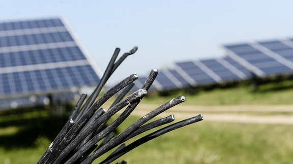 Einige der abgetrennten Reste der Steuerungskabel hängen 2017 unter Solarmodulen im Solarpark von in Neukirchen-Vluyn.