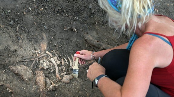 Zwischen Baumwurzeln, nur einige Zentimeter unter der Erdoberfläche legt eine Archäologin die Knochenreste eines Hingerichteten frei.