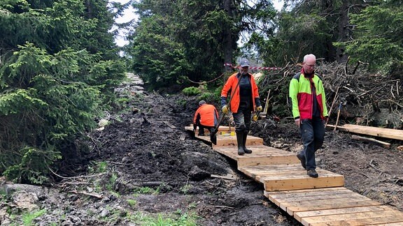 Im Wald ist ein morastiger Weg, über den neue Holzbohlen gebaut werden. Drei Männer laufen darauf.