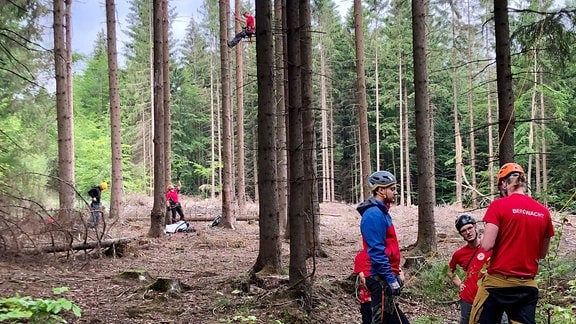 Die Bergwacht Harz trainiert in Thale für Baumrettungen.