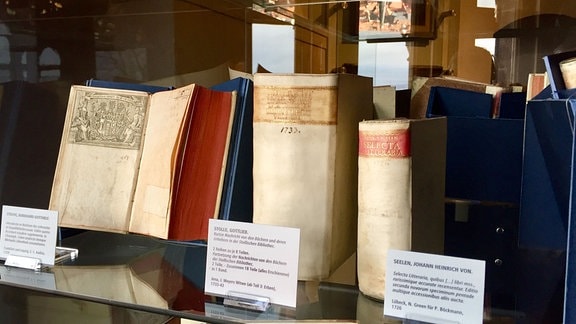 Historische Bücher in einer Glasvitrine im Schloss Wernigerode. 