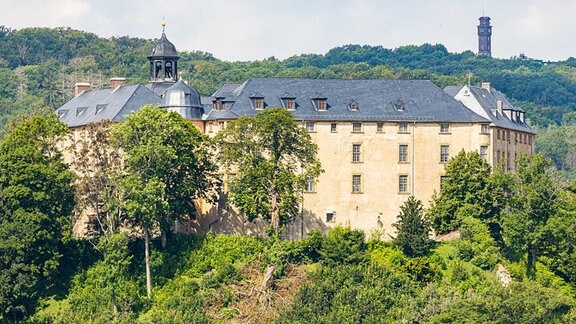 Das von Wald umgebene Schloss Blankenburg im Landkreis Harz