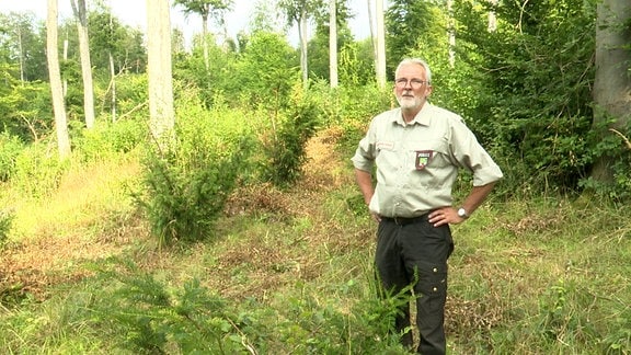 Ein älterer Mann steht im Wald 