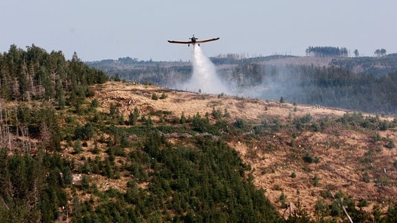 Ein Löschflugzeug ist über einem Waldgebiet im Einsatz.