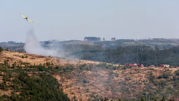 Ein Löschflugzeug ist über einem Waldgebiet im Einsatz.