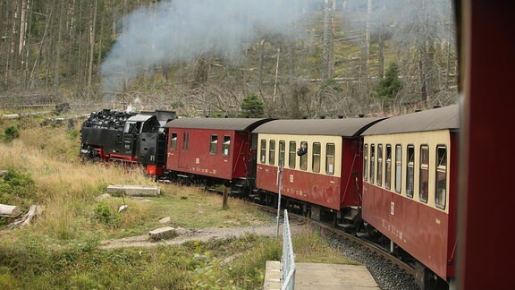 Ein Zug der Harzer Schmalspurbahn HSB fährt zum Brocken