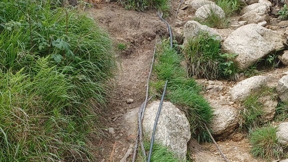 Auf einem Wanderpfad liegen Kabel zwischen Felsbrocken.