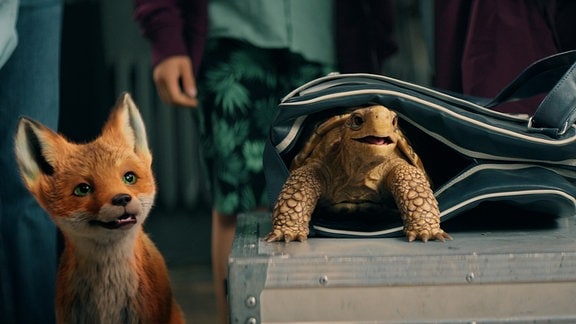 Ein Fuchs und eine Schildkröte in einer Szene des Films "Die Schule der magischen Tiere 2"