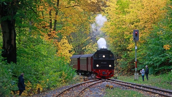 Ein Zug der Harzer Schmalspurbahn steht im Bahnhof Steinerne Renne in Wernigerode.