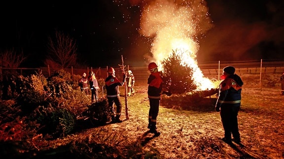Weihnachtsbäume werden zum Knutfest verbrannt