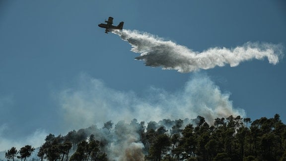 Löschflugzeug wirft Wasser über einem Waldbrand ab (Symbolbild)
