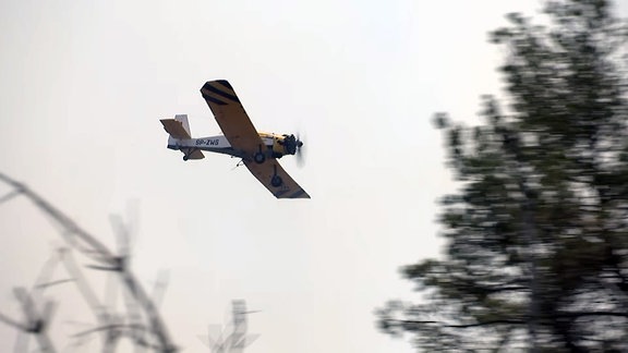 Ein kleines Löschflugzeug über einem Waldbrand in einem munitionsbelasteten Gebiet bei Jüterbog.