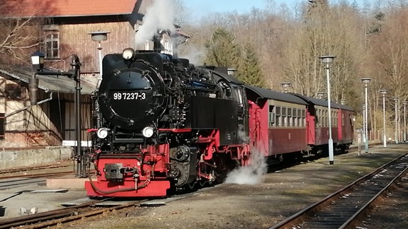 Fotograf Siegmar Frenzel schreibt in der Mediabox über dieses Foto: "Der Planzug der Selketalbahn hat Alexisbad erreicht und startet gleich weiter in Richting Hasselfelde im Oberharz."