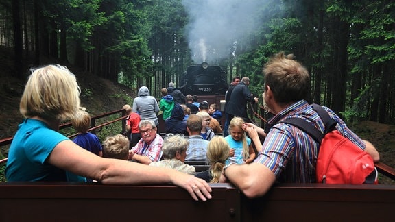 Fahrgäste der Harzer Schmalspurbahn (HSB) fahren mit einem offenen Aussichtswagen durch den Nationalpark Harz in Wernigerode. 