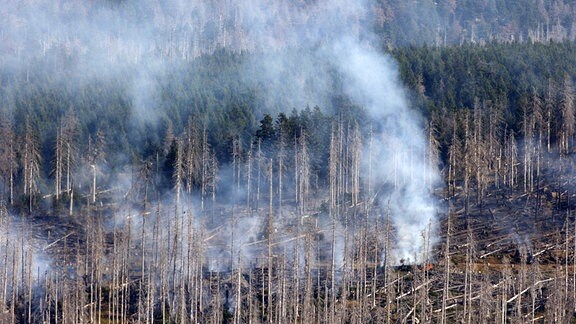 Mit Löschhubschraubern wird das Feuer am Brocken bekämpft. Insgesamt 5 Löschhubschrauber sind im Einsatz.